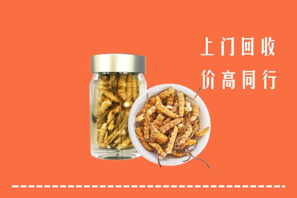 衡水冀州区回收冬虫夏草