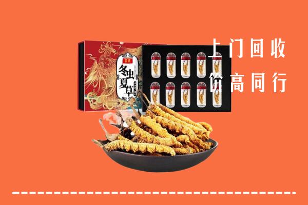 衡水冀州区回收虫草